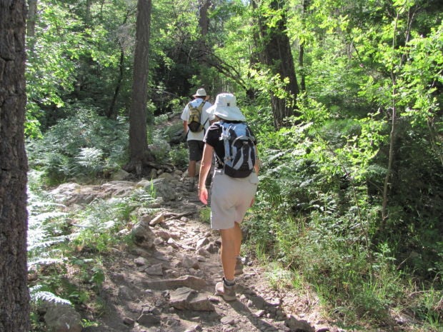 Classic hike in the Catalinas offers respite from the heat